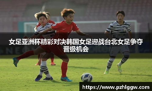 ag贵宾会官方网站